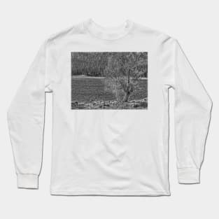 Forest Through The Trees - Black And White Long Sleeve T-Shirt